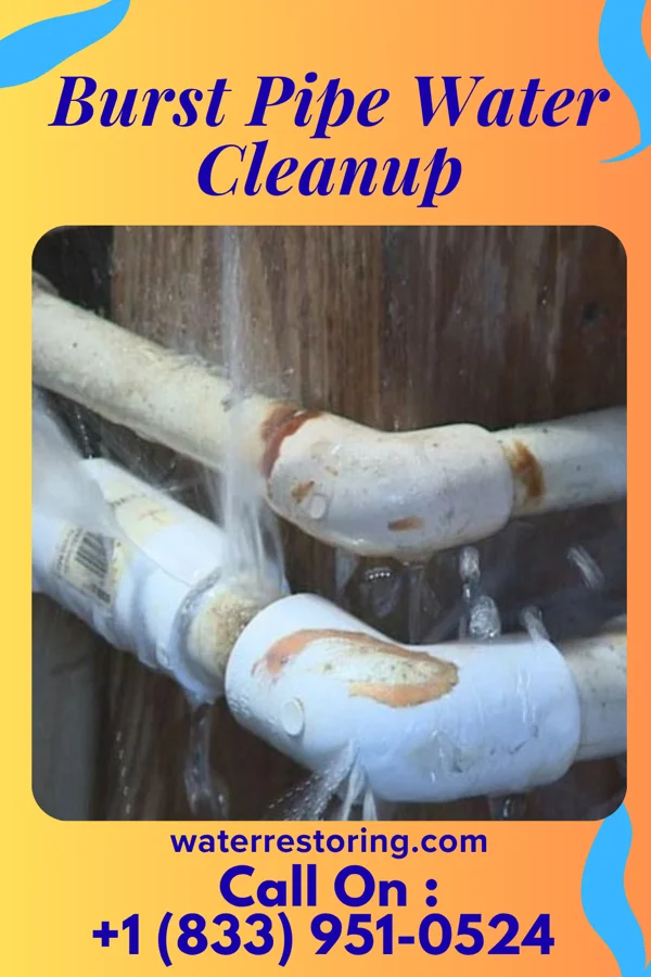 Burst Pipe Water Cleanup in Pinebluff, NC