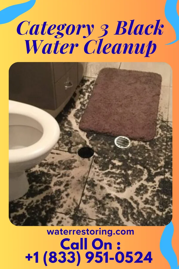 Category 3 Black Water Cleanup in Pinebluff, NC
