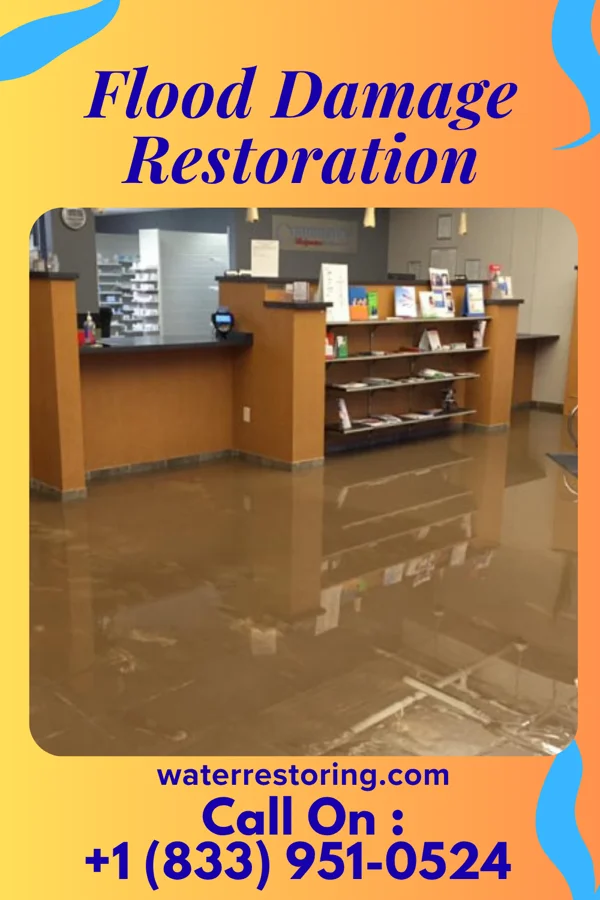 Flood Damage Restoration in Pinebluff, NC