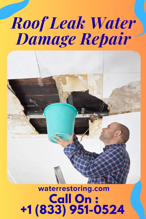 Roof Leak Water Damage Repair in Pinebluff, NC