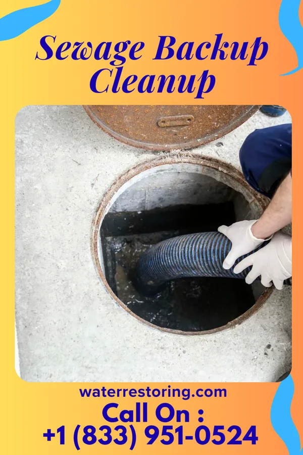 Sewage Backup Cleanup in Pinebluff, NC