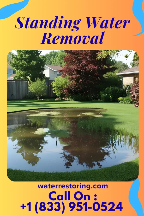 Standing Water Removal in Pinebluff, NC